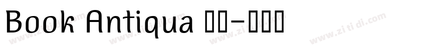 Book Antiqua 常规字体转换